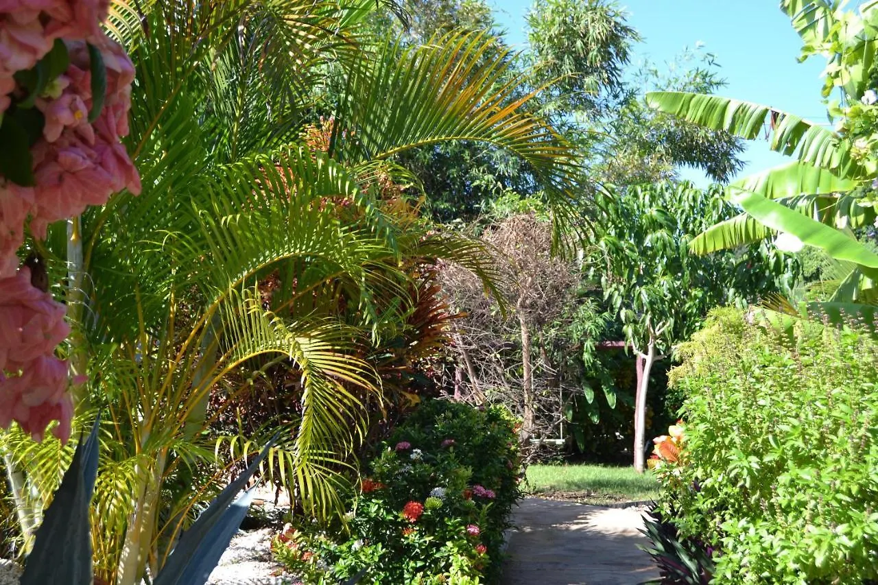 Homestay szállás Ecovilla Coral Garden Baoruco